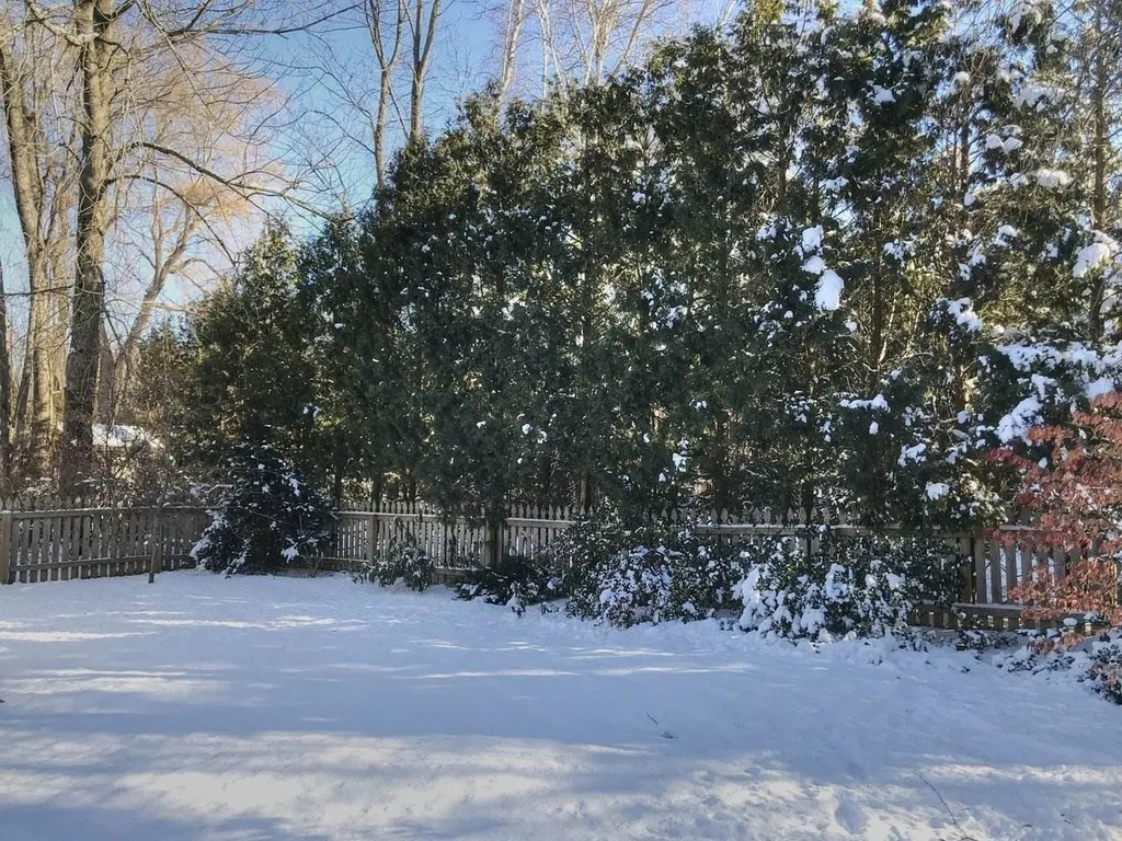 849 Bay Road Shelburne VT 05482