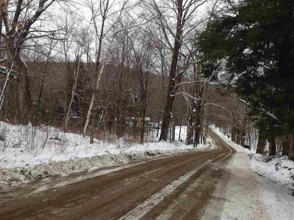0 Masterson Street Lincoln VT 05443