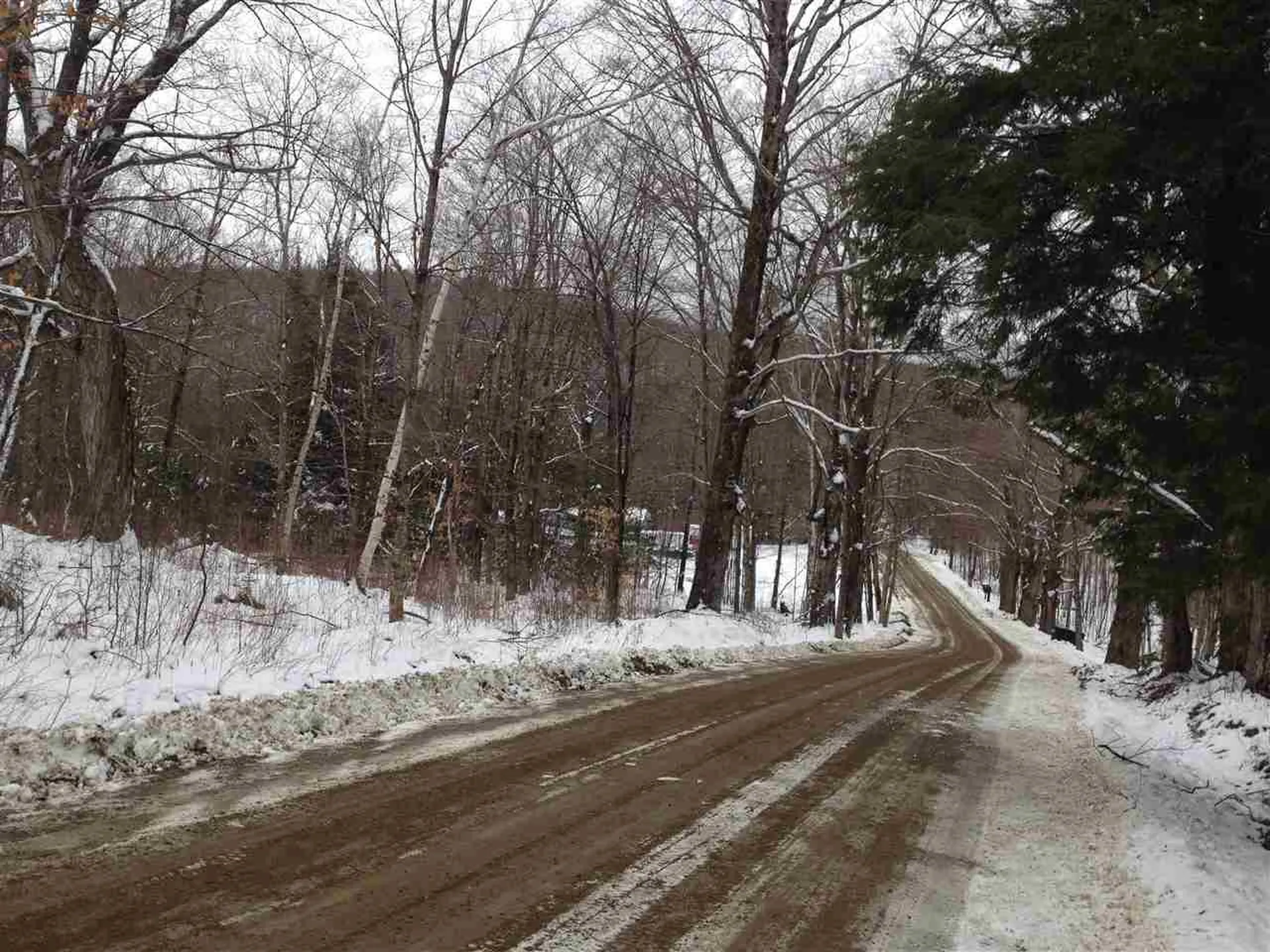 0 Masterson Street Lincoln VT 05443