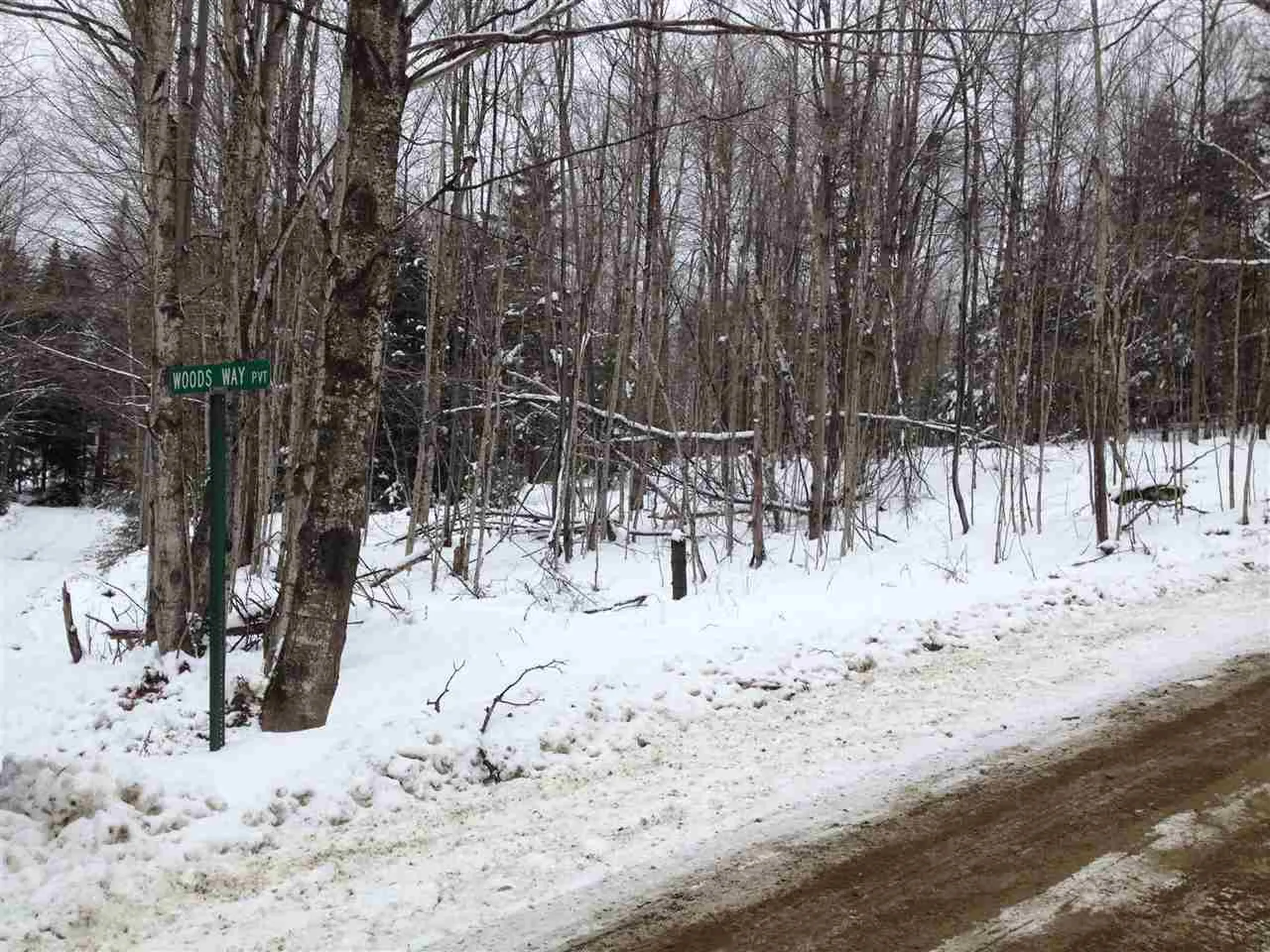 0 Masterson Street Lincoln VT 05443