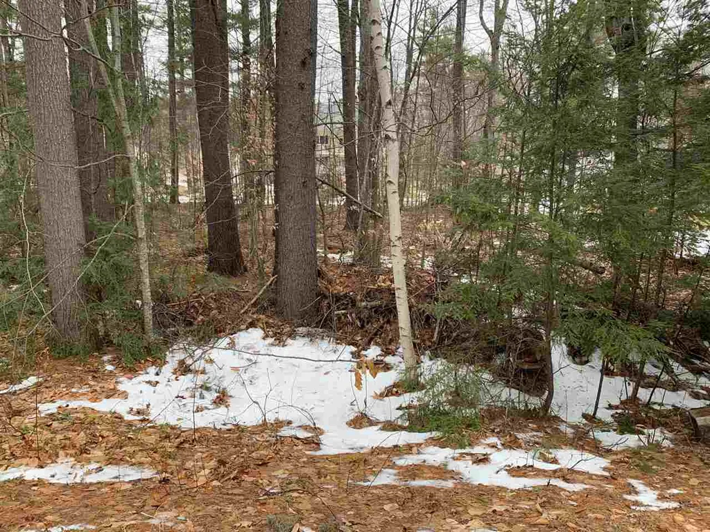 127 Bow Lake Estates Strafford NH 03884