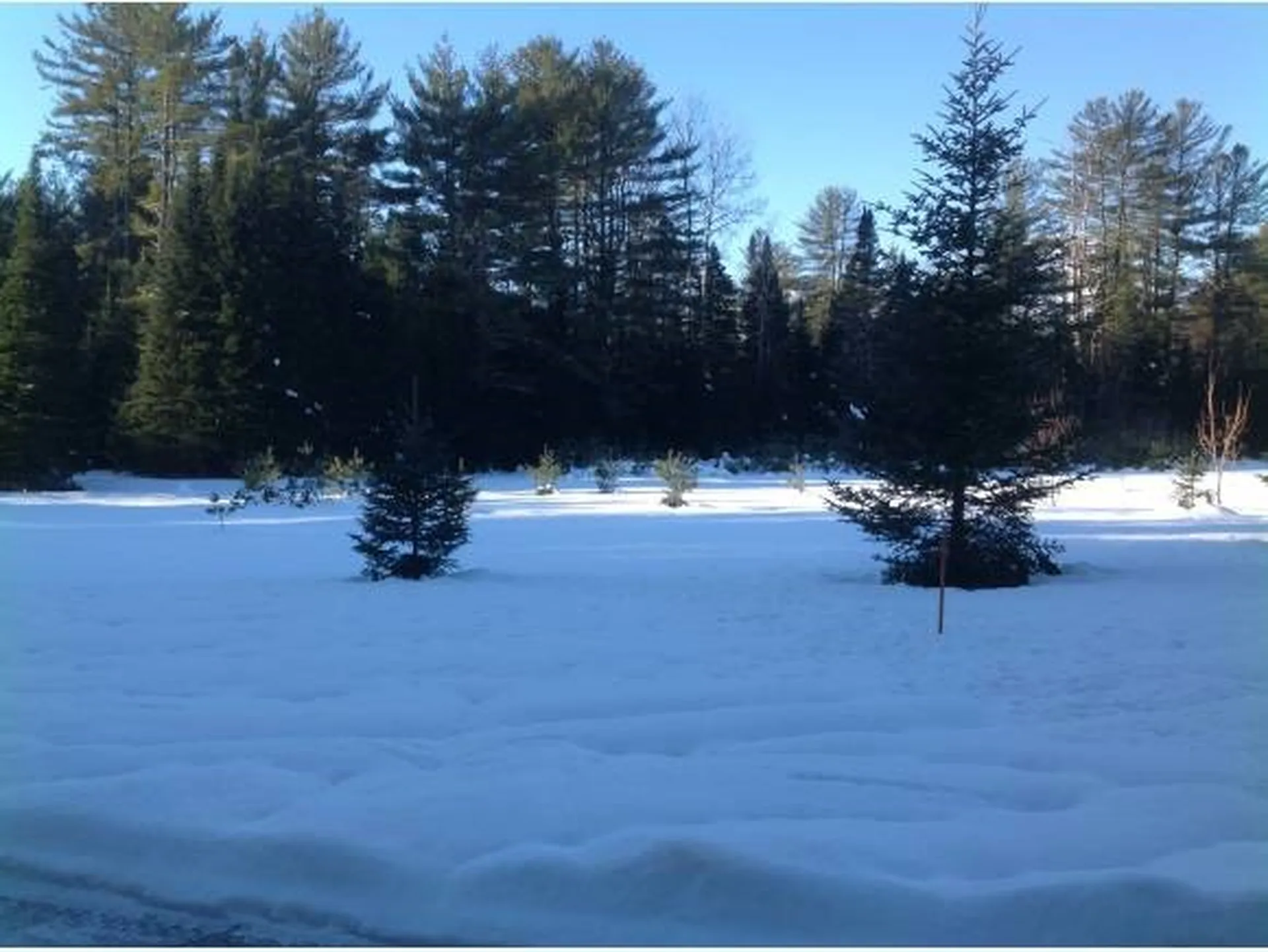 72 Granite Road Ossipee NH 03864