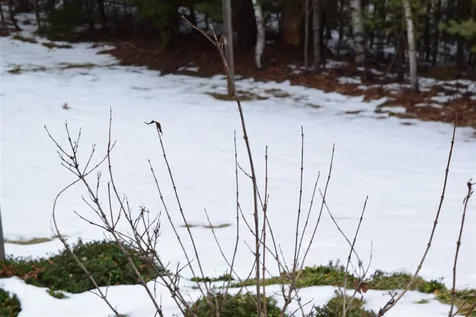 68 Lower Stonehouse Mountain Road Orford NH 03777