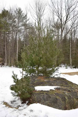 68 Lower Stonehouse Mountain Road Orford NH 03777