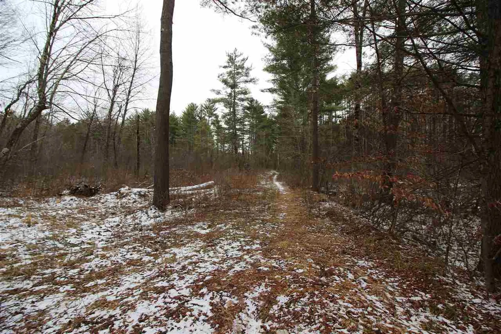 0 Peaks Pine Road Pownal VT 05261