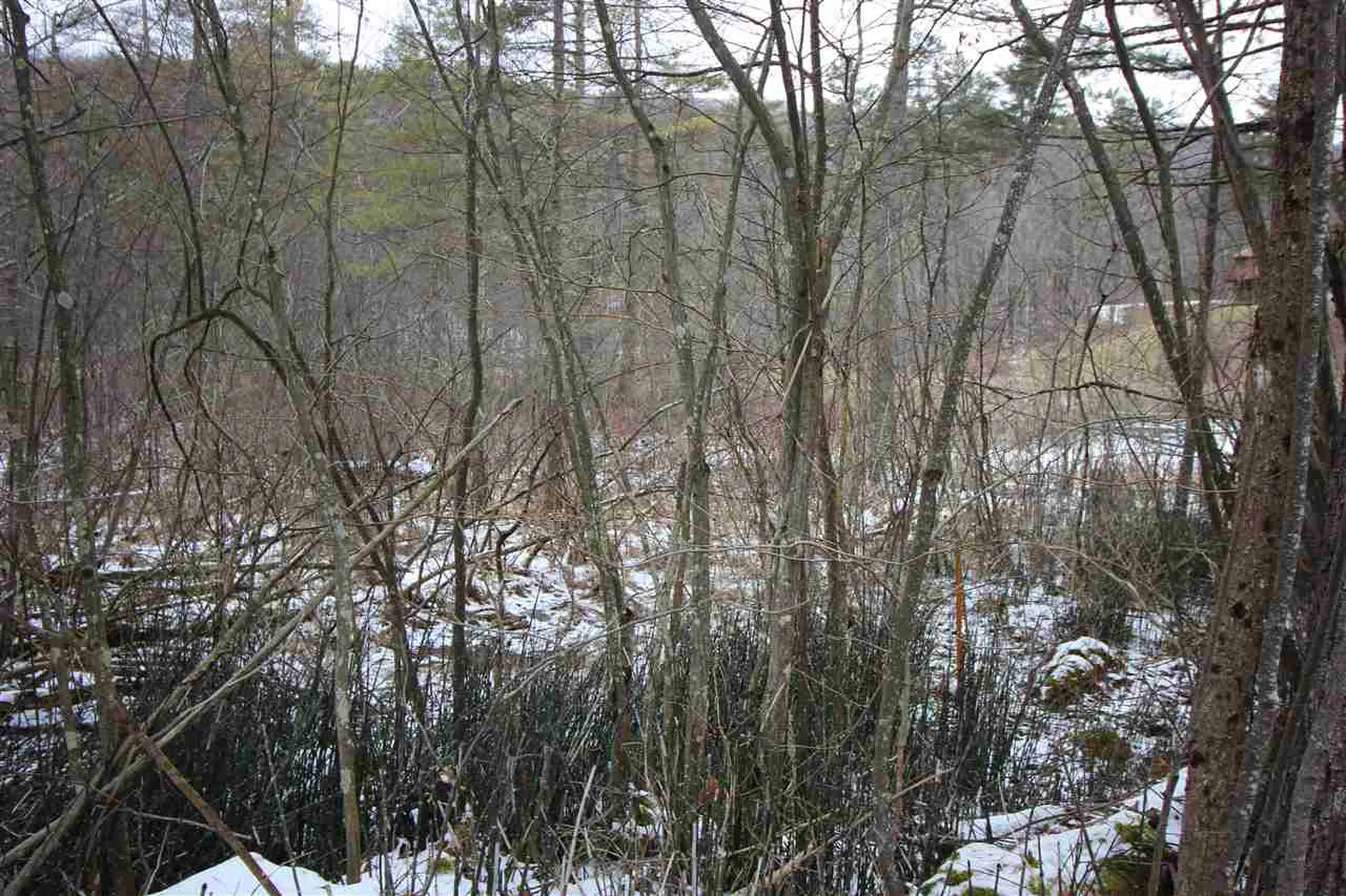 0 Peaks Pine Road Pownal VT 05261