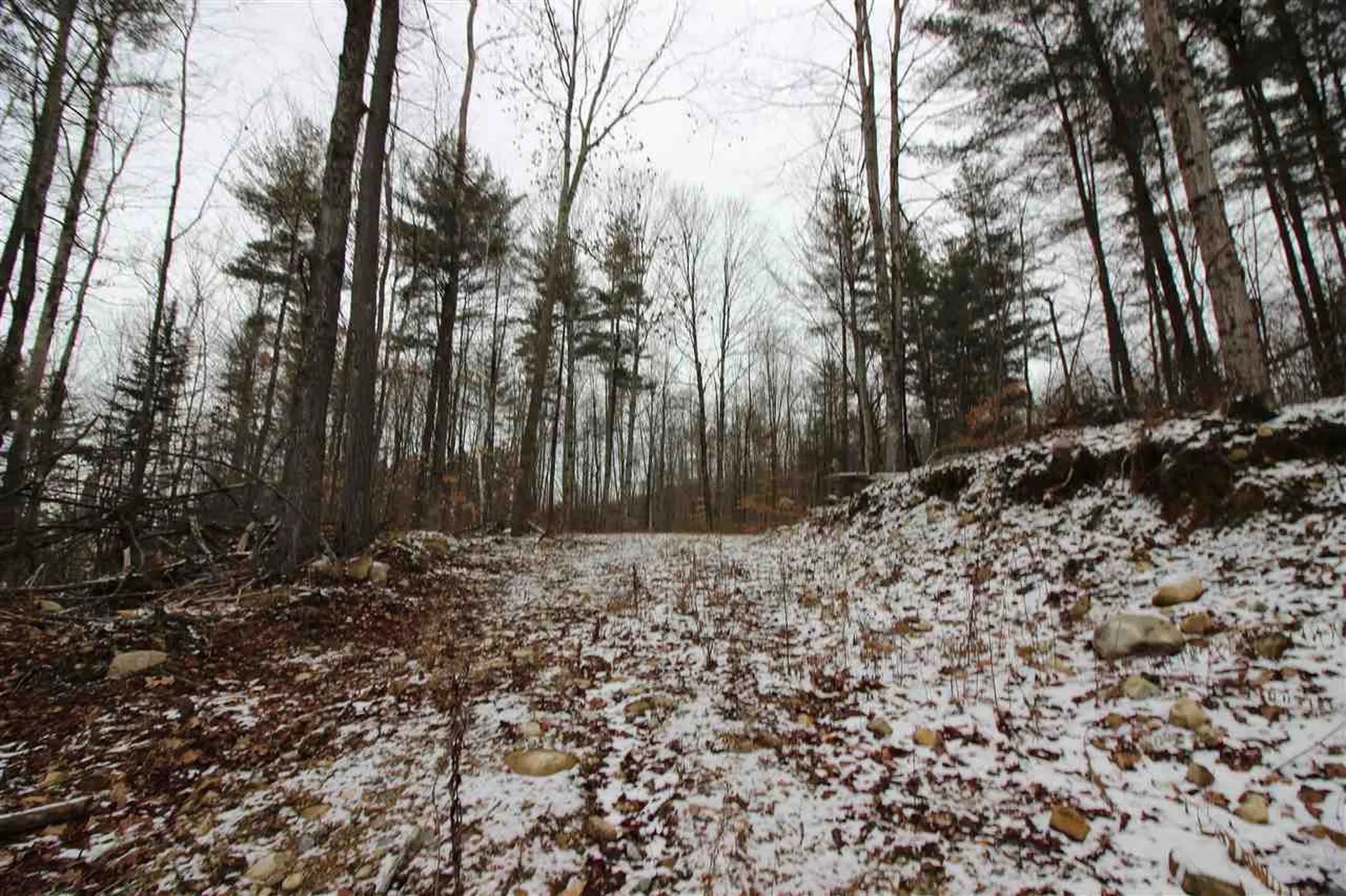 0 Peaks Pine Road Pownal VT 05261