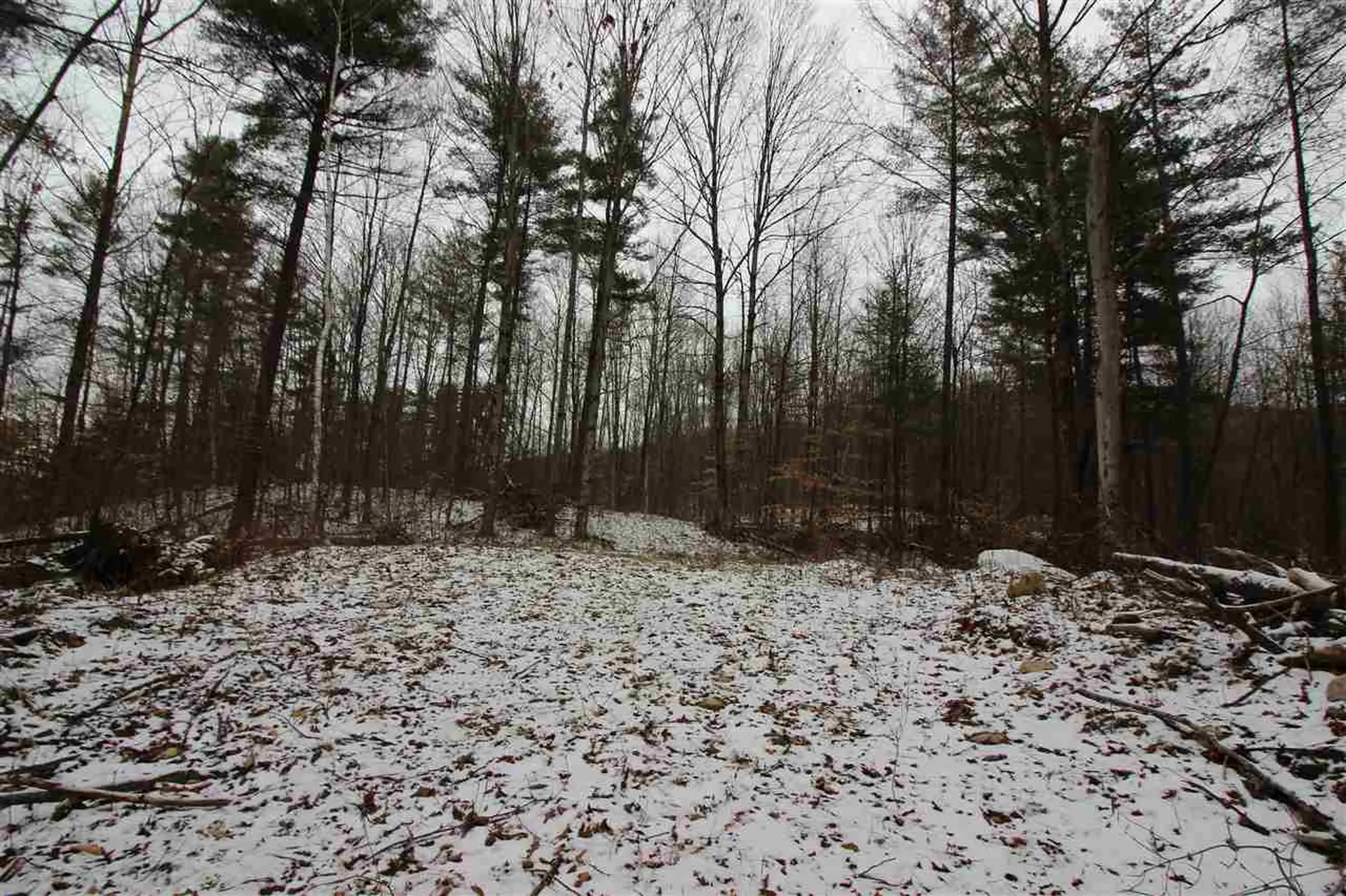0 Peaks Pine Road Pownal VT 05261