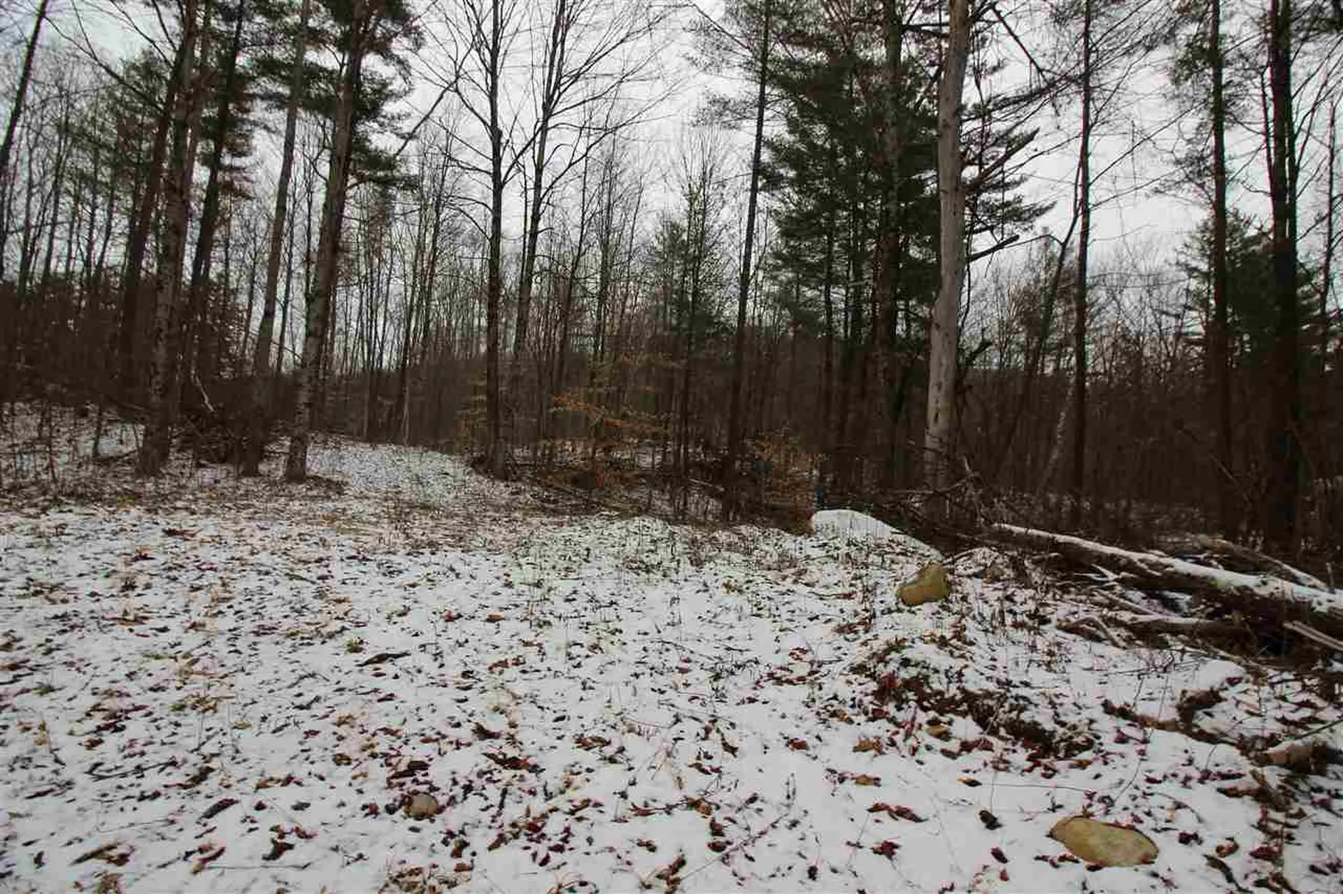 0 Peaks Pine Road Pownal VT 05261