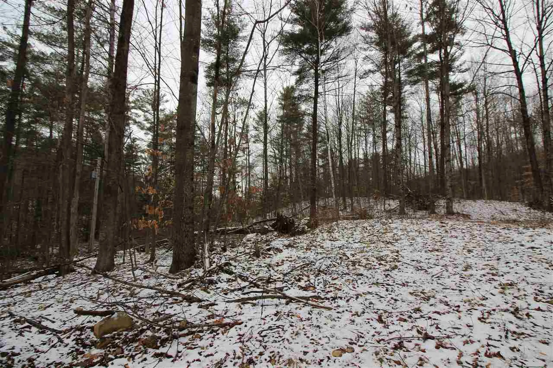 0 Peaks Pine Road Pownal VT 05261
