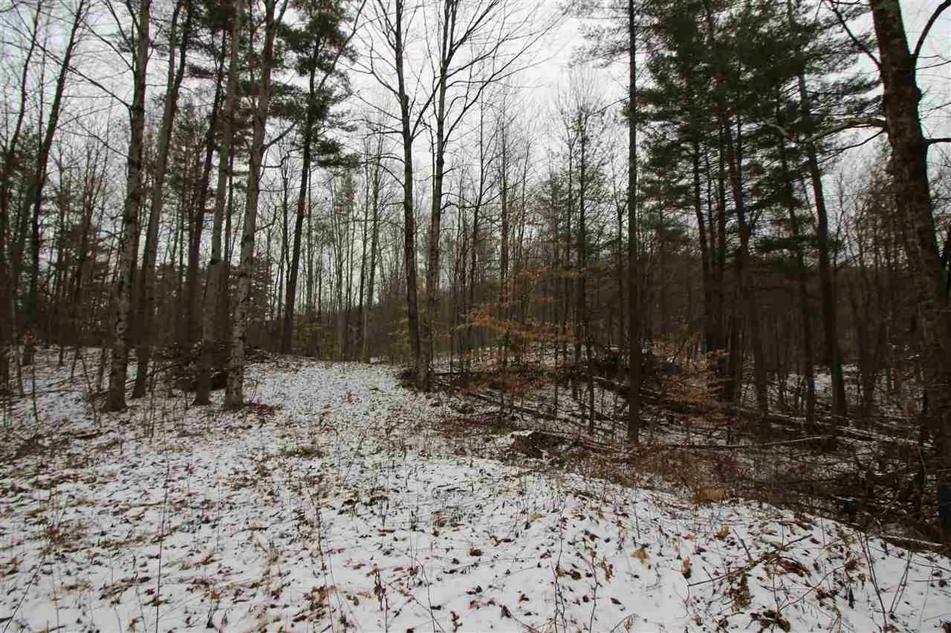 0 Peaks Pine Road Pownal VT 05261