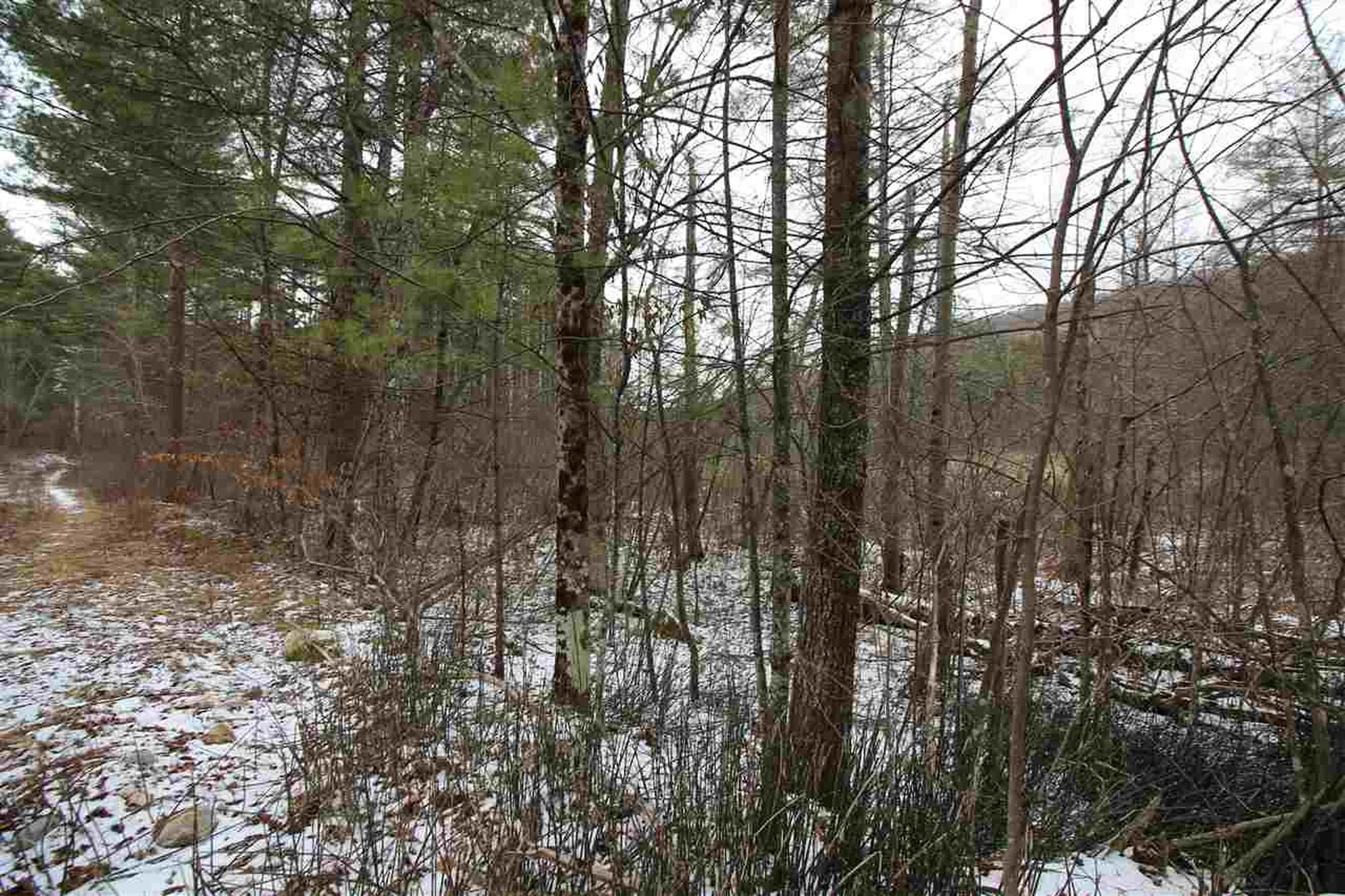0 Peaks Pine Road Pownal VT 05261