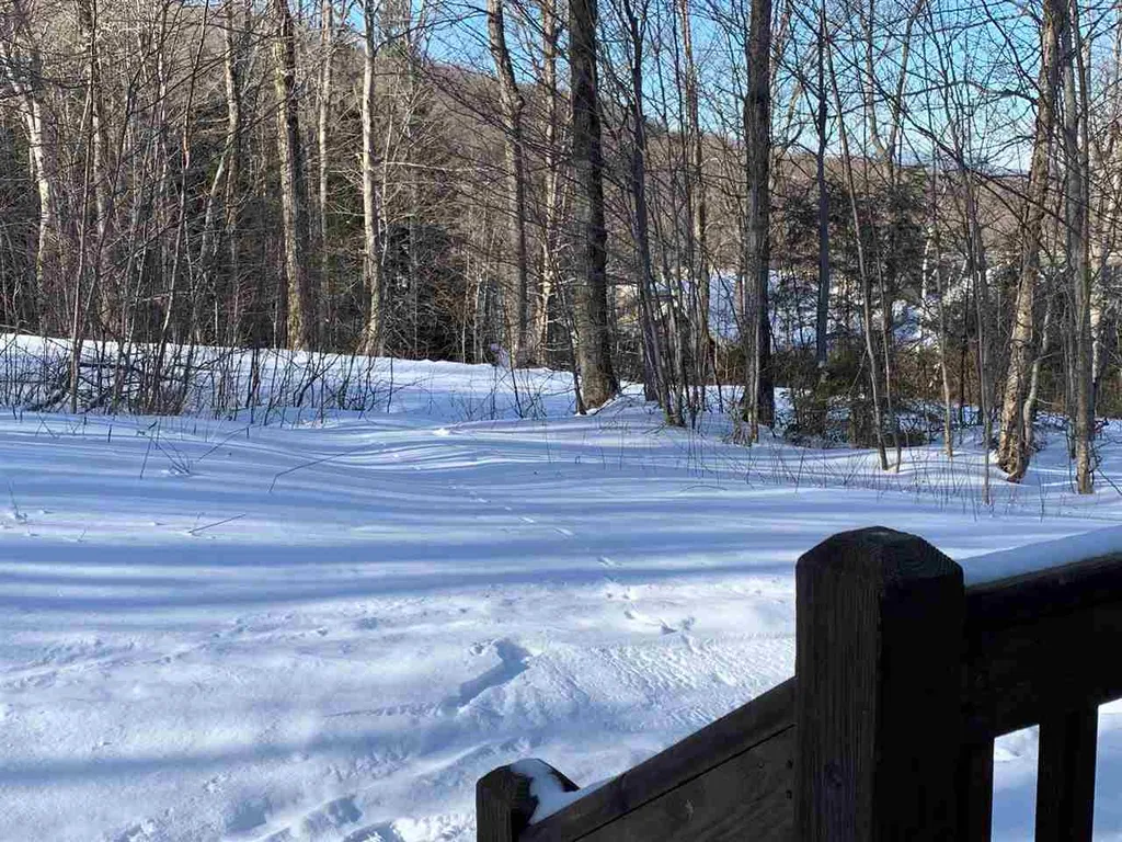 59b Snowbridge Road Stratton VT 05155