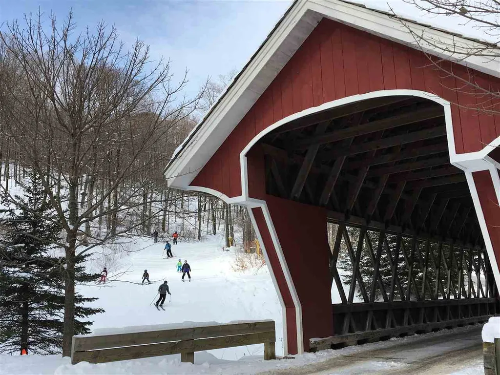 59b Snowbridge Road Stratton VT 05155