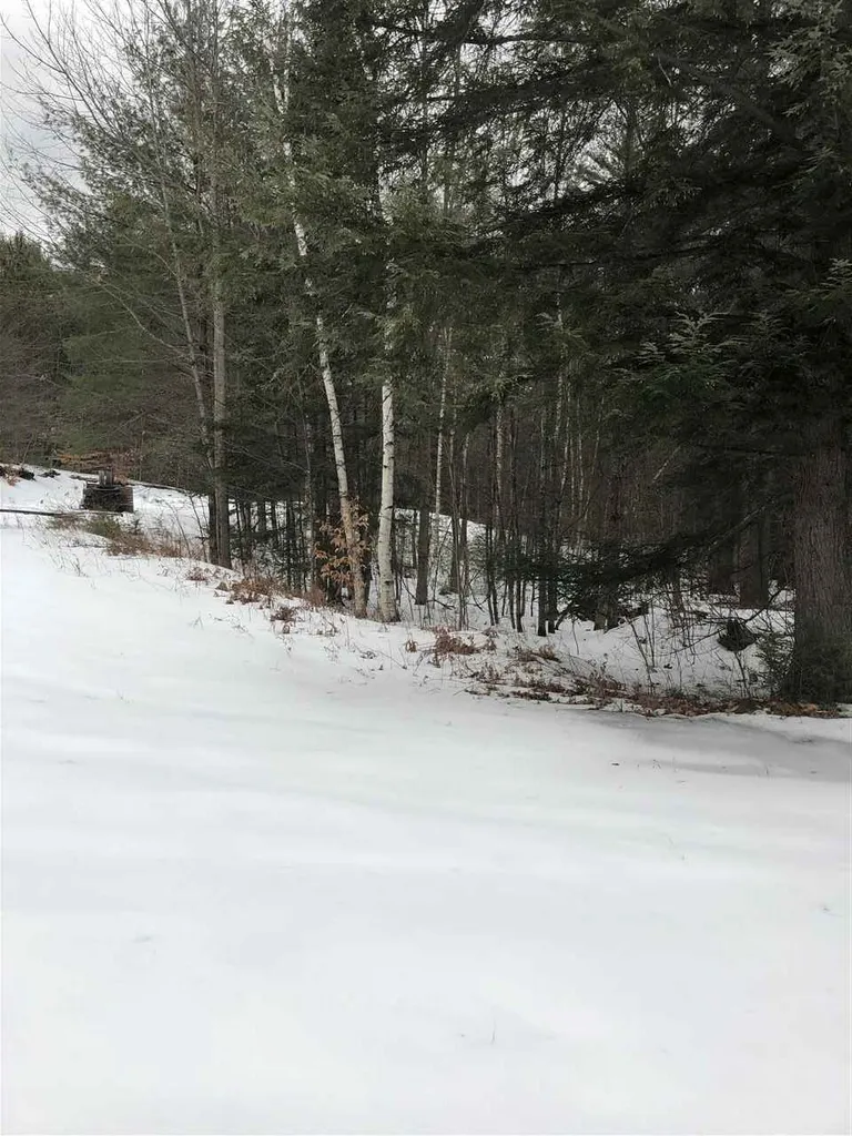 123 Turner Road Wentworth NH 03282