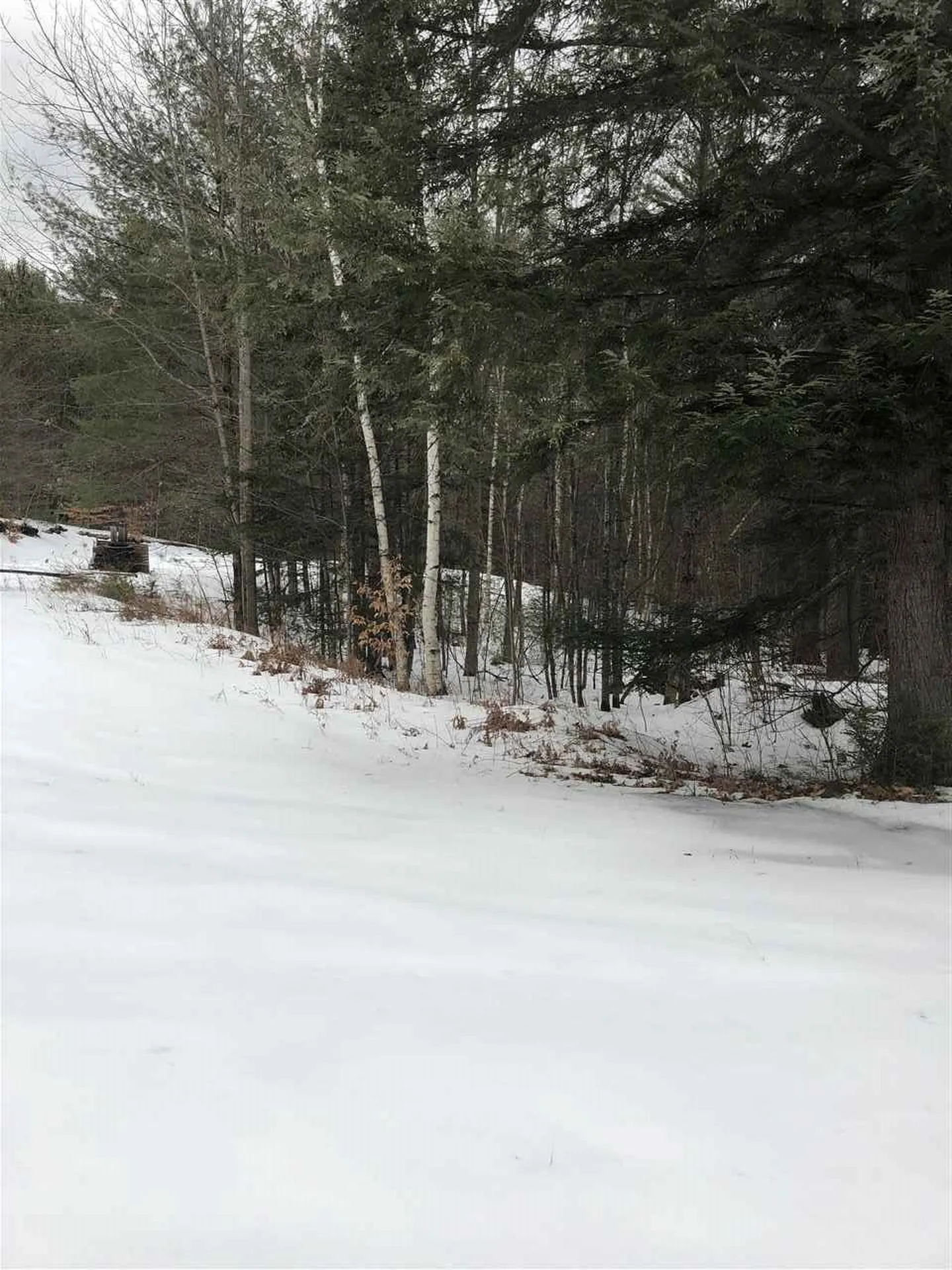 123 Turner Road Wentworth NH 03282