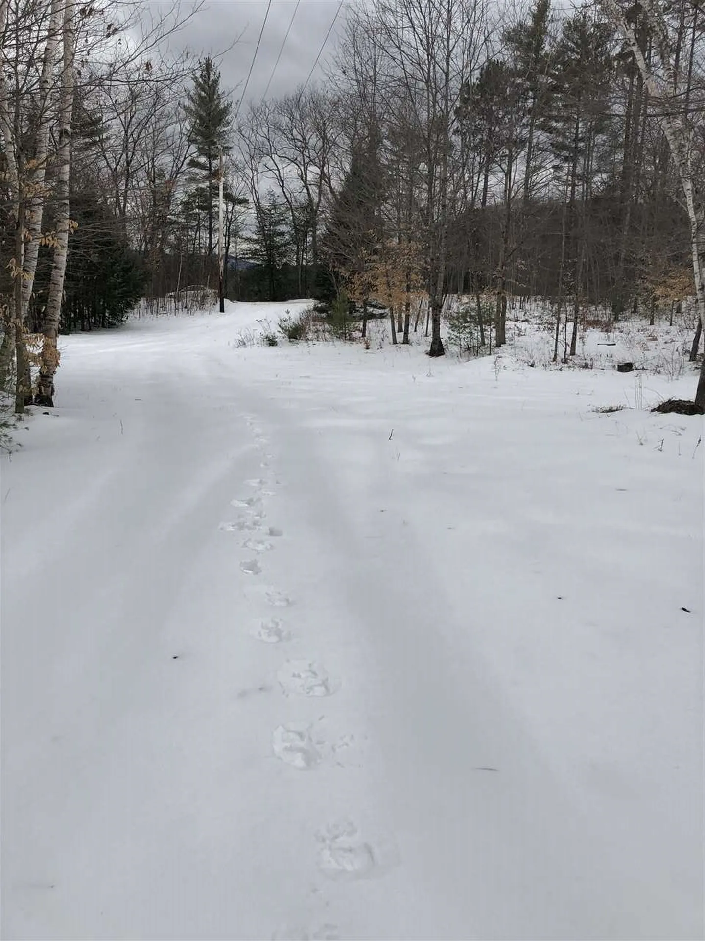 123 Turner Road Wentworth NH 03282