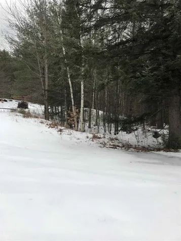 123 Turner Road Wentworth NH 03282