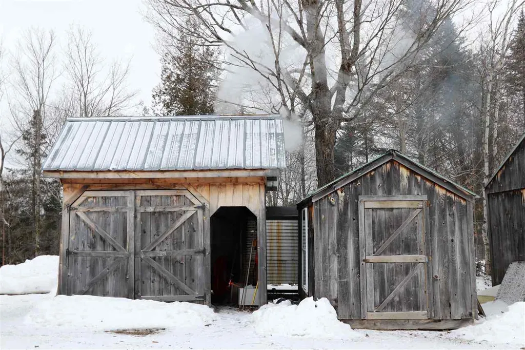 119 Michaud Drive Sutton VT 05867