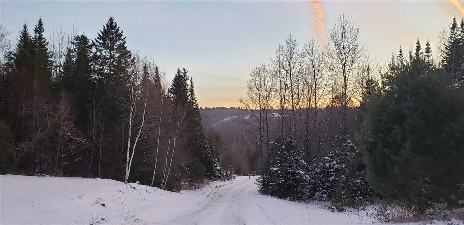 119 Michaud Drive Sutton VT 05867