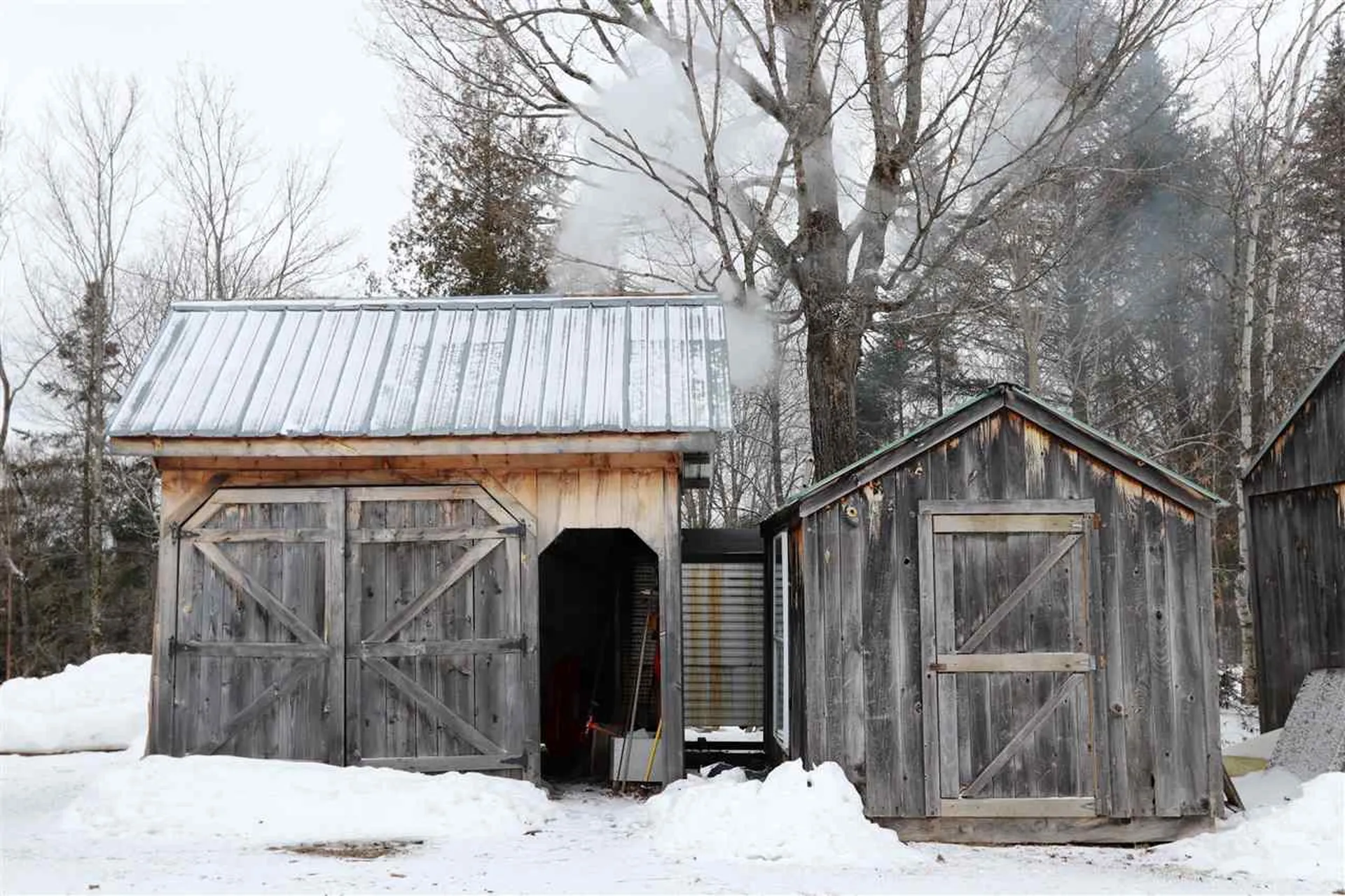 119 Michaud Drive Sutton VT 05867