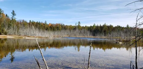 119 Michaud Drive Sutton VT 05867