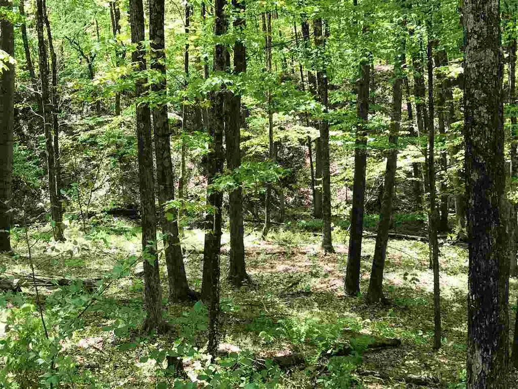 238 Hollow Hide A Way Road Shaftsbury VT 05262