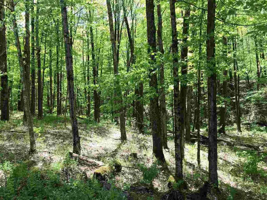 238 Hollow Hide A Way Road Shaftsbury VT 05262