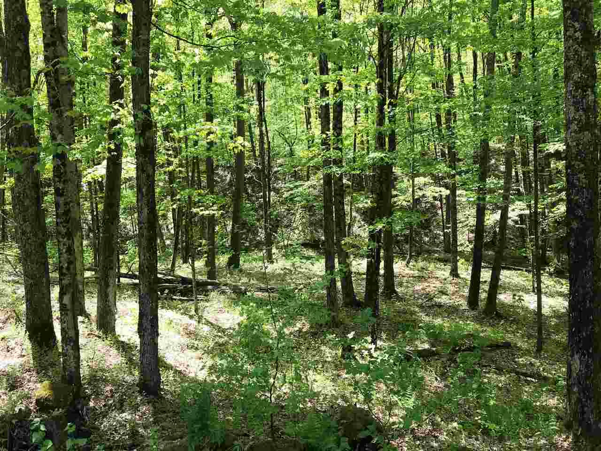 238 Hollow Hide A Way Road Shaftsbury VT 05262