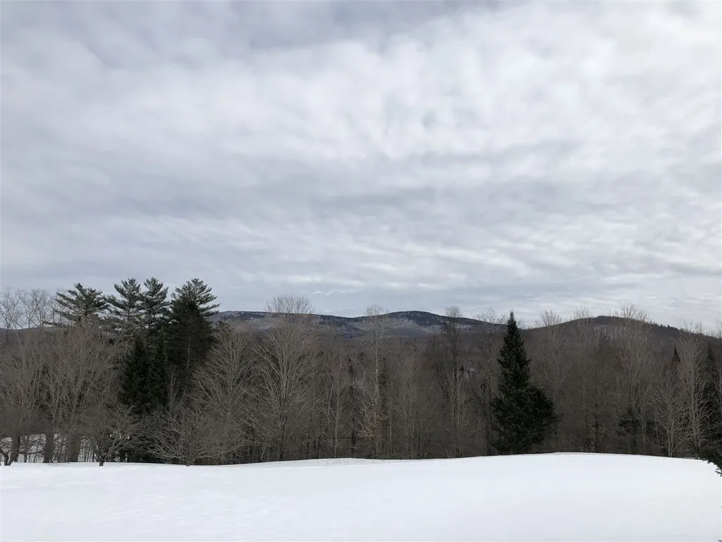 1453 Marshall Newland Road Burke VT 05871