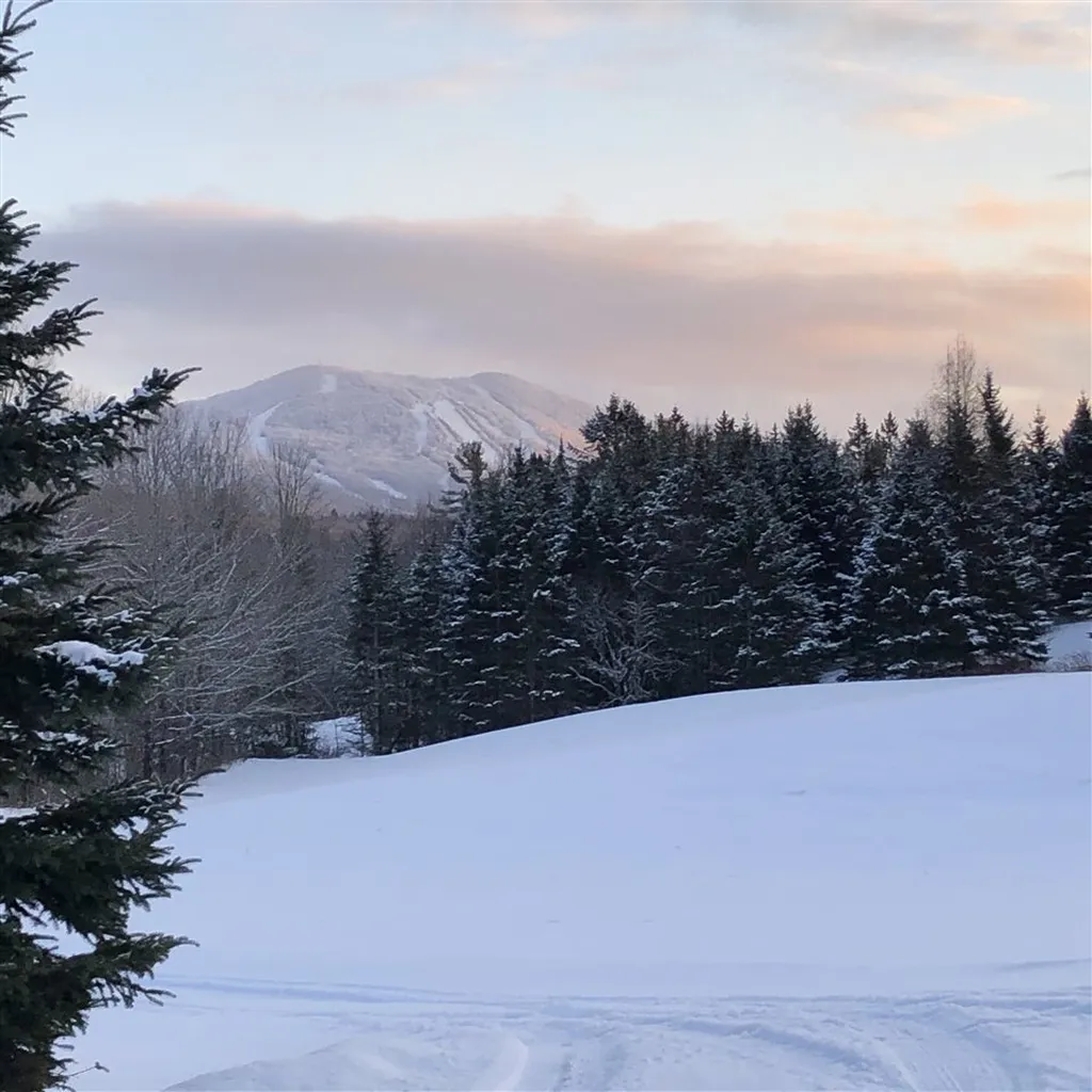 1453 Marshall Newland Road Burke VT 05871