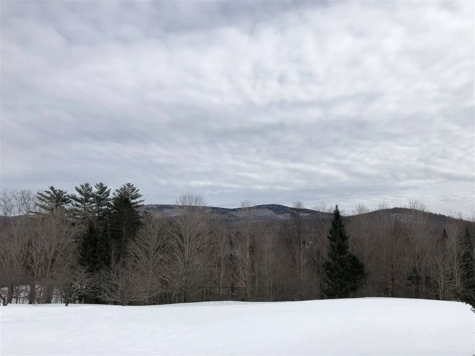 1453 Marshall Newland Road Burke VT 05871