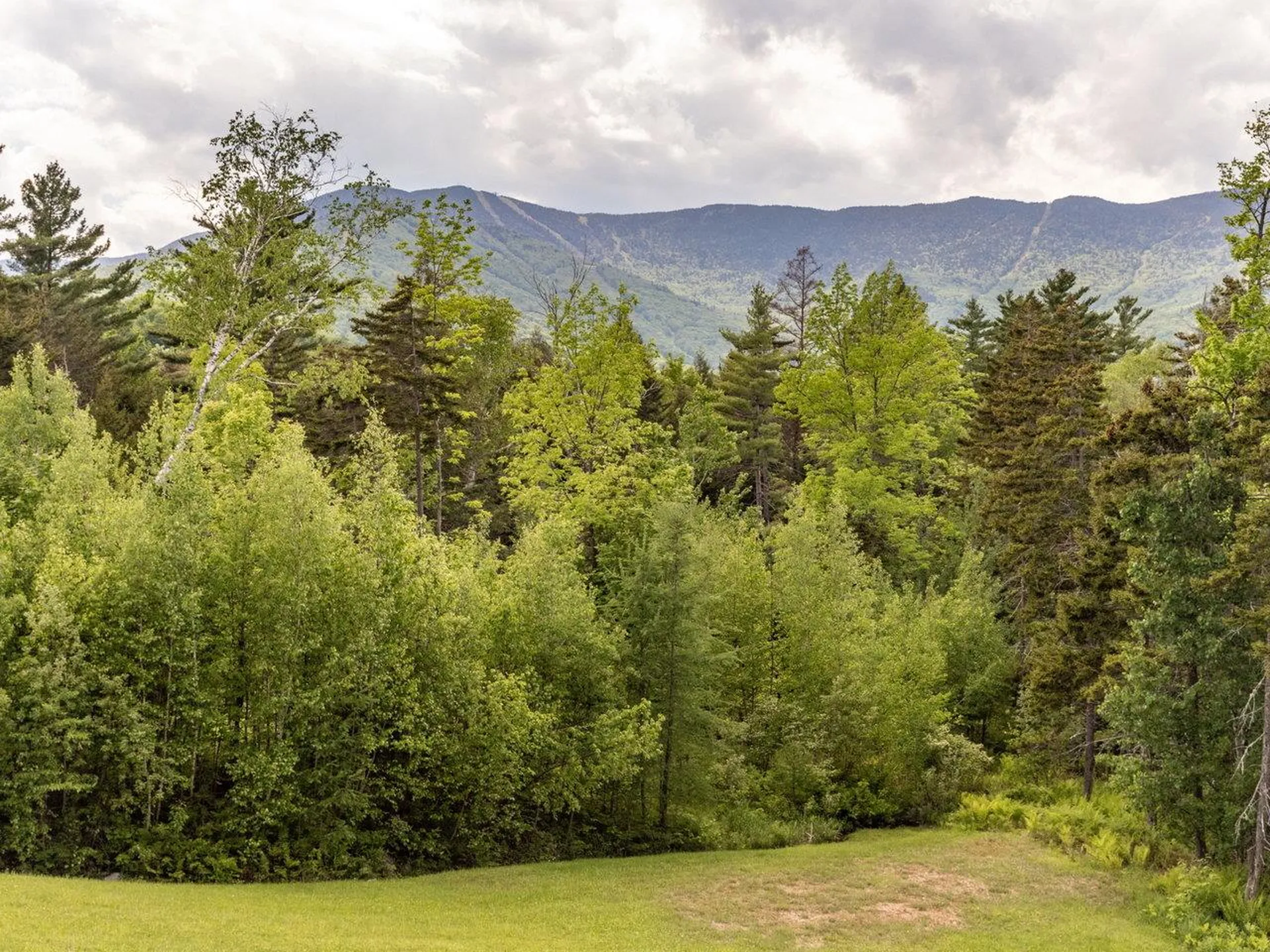 145 Meadow Lane Warren VT 05674