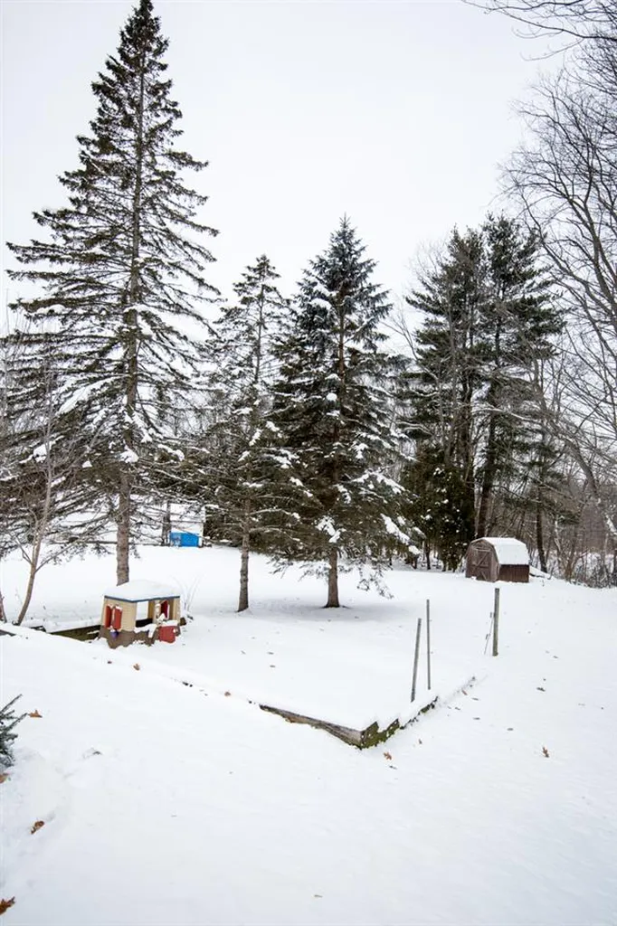 5 Rosewood Lane Essex VT 05452