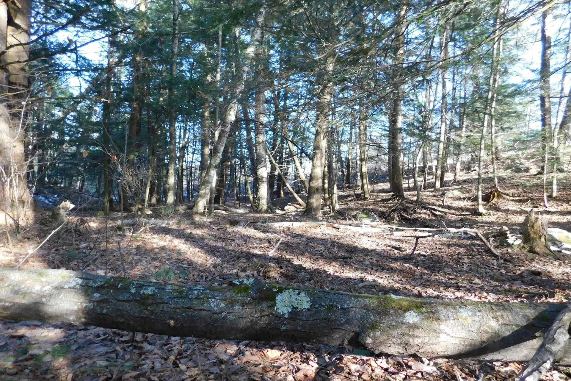 185 Hansen Drive West Rutland VT 05777