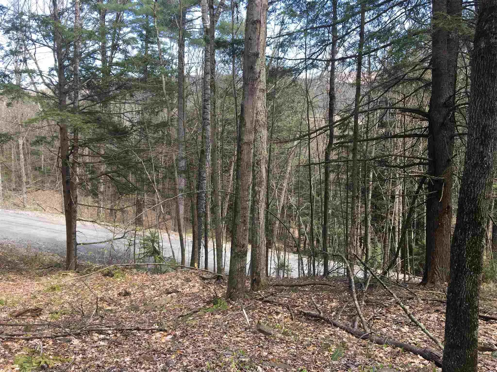 Lot J-6 & J-10 Westwind Road Stockbridge VT 05772