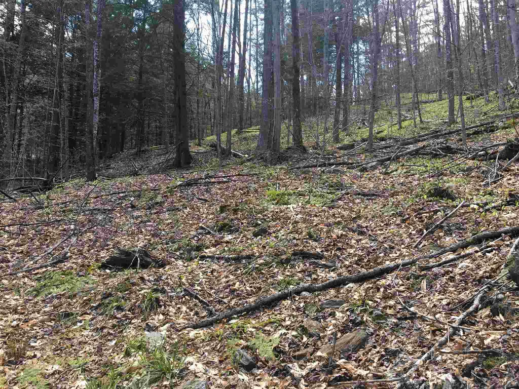 Lot J-6 & J-10 Westwind Road Stockbridge VT 05772