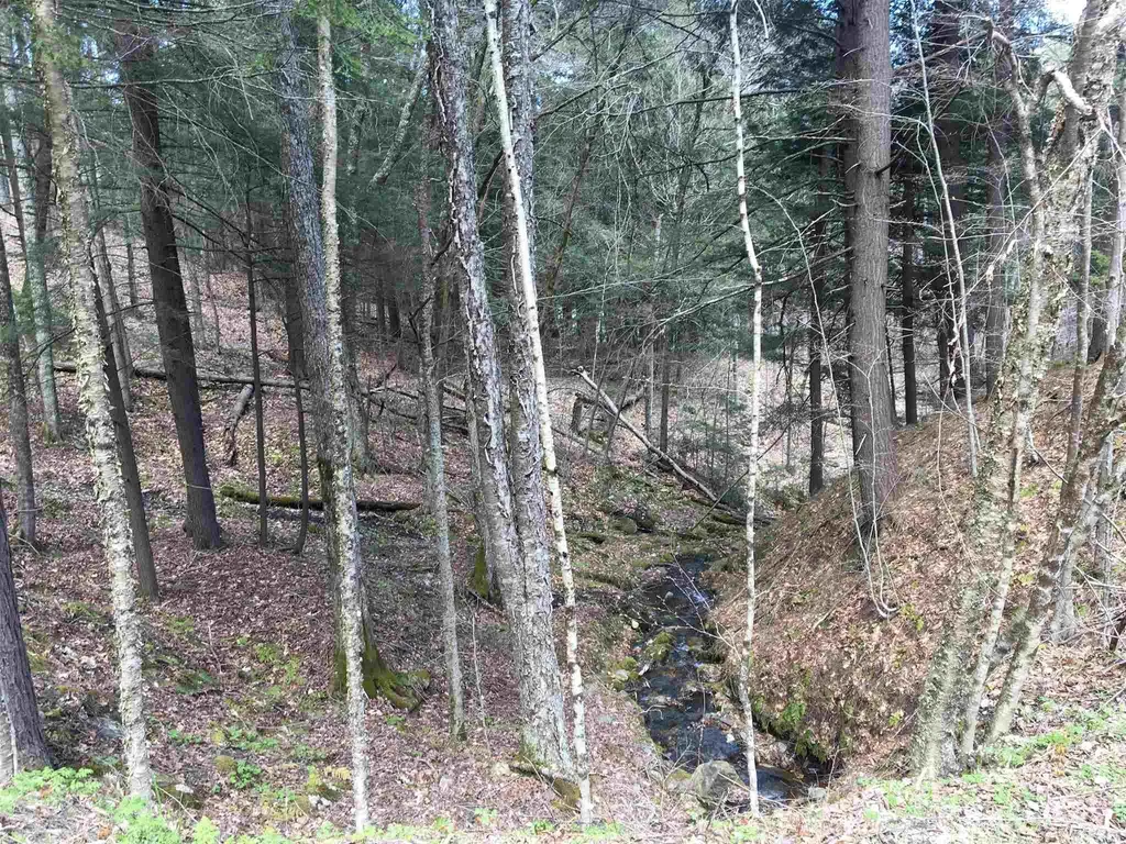 Lot J-6 & J-10 Westwind Road Stockbridge VT 05772