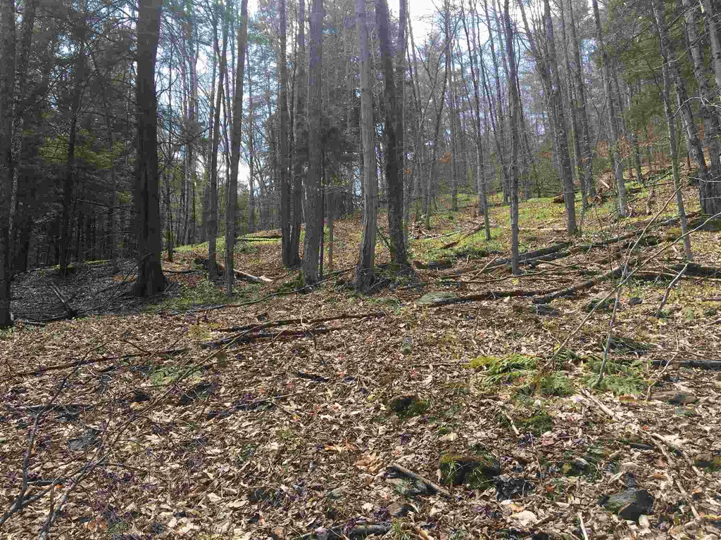 Lot J-6 & J-10 Westwind Road Stockbridge VT 05772