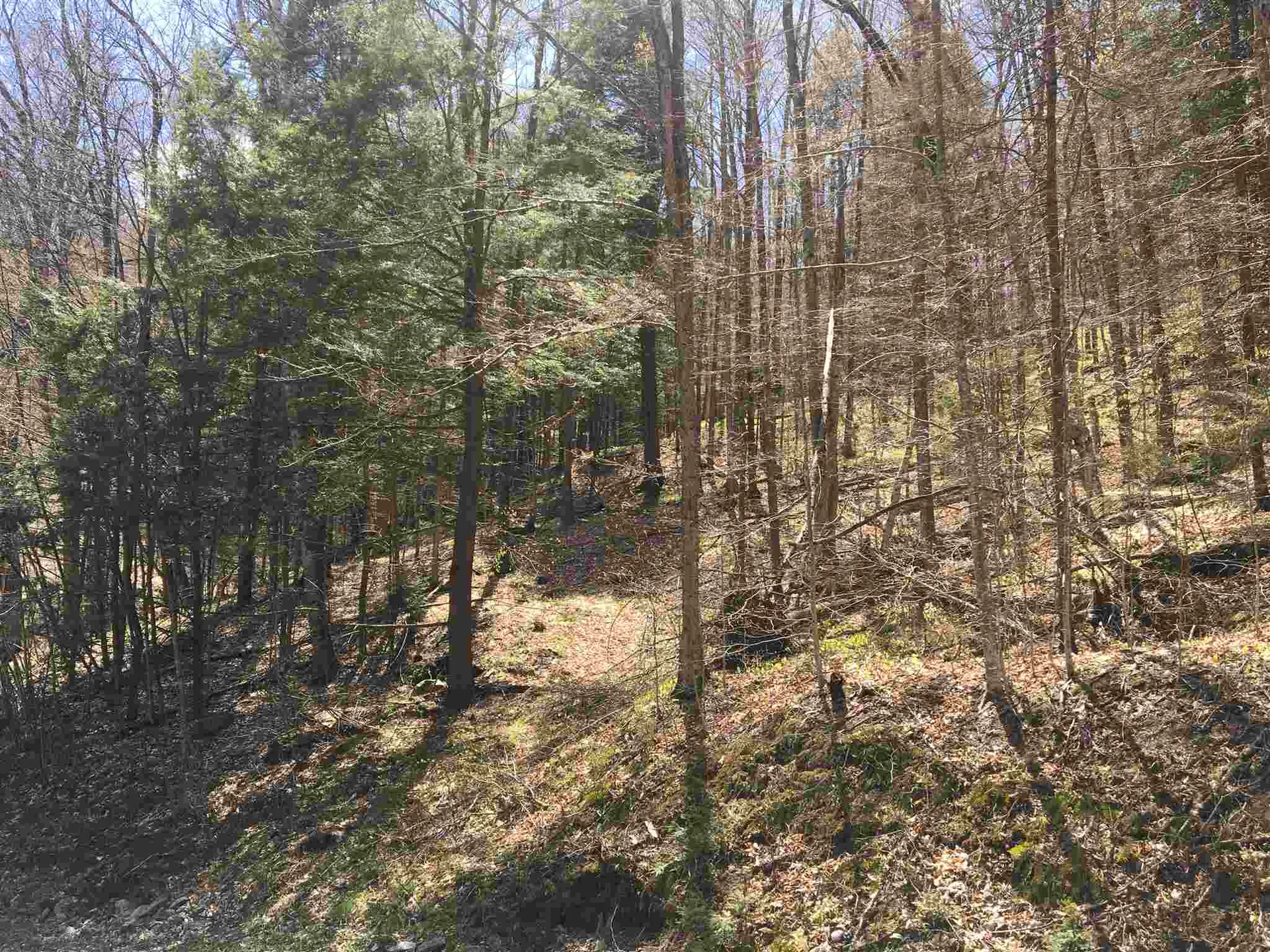 Lot J-6 & J-10 Westwind Road Stockbridge VT 05772