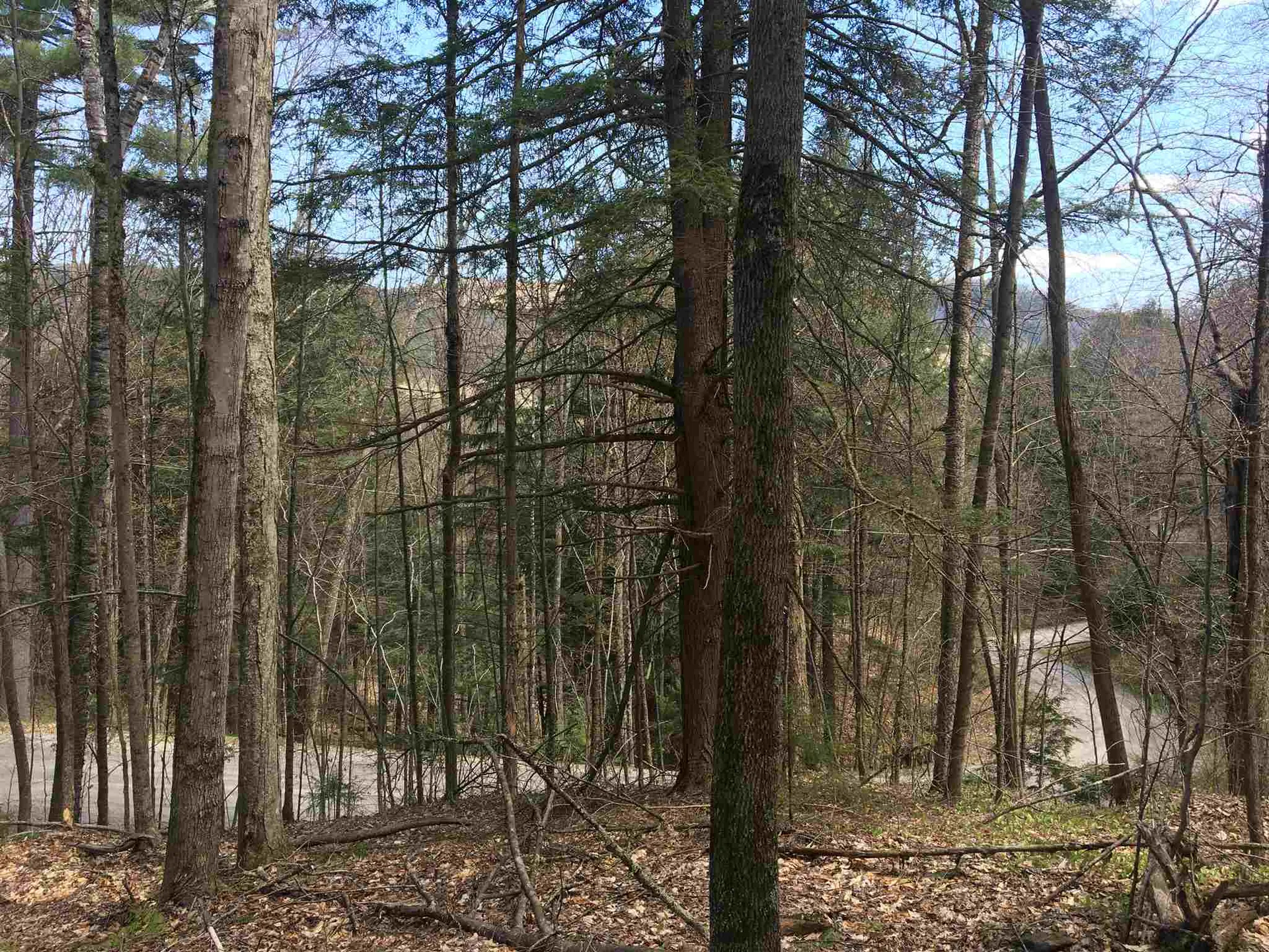 Lot J-6 & J-10 Westwind Road Stockbridge VT 05772