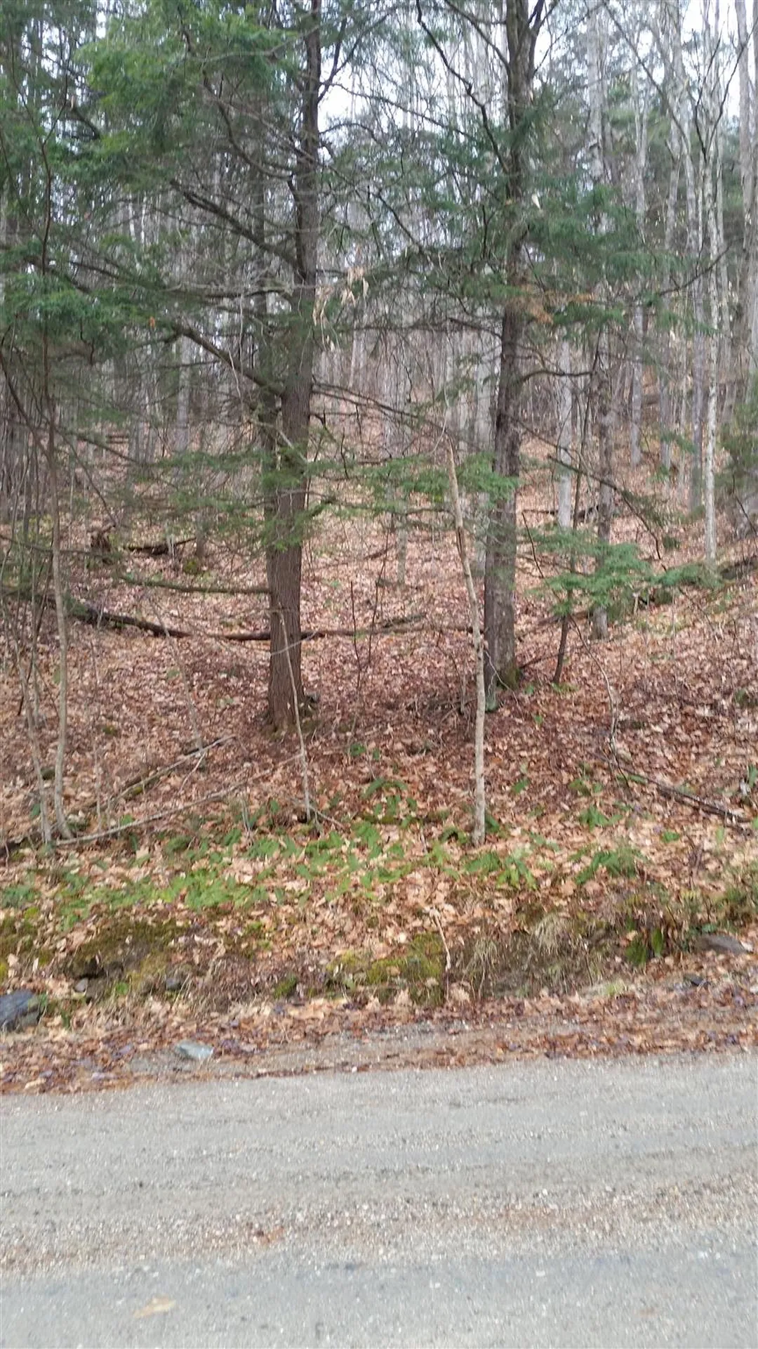 Lot J-6 & J-10 Westwind Road Stockbridge VT 05772