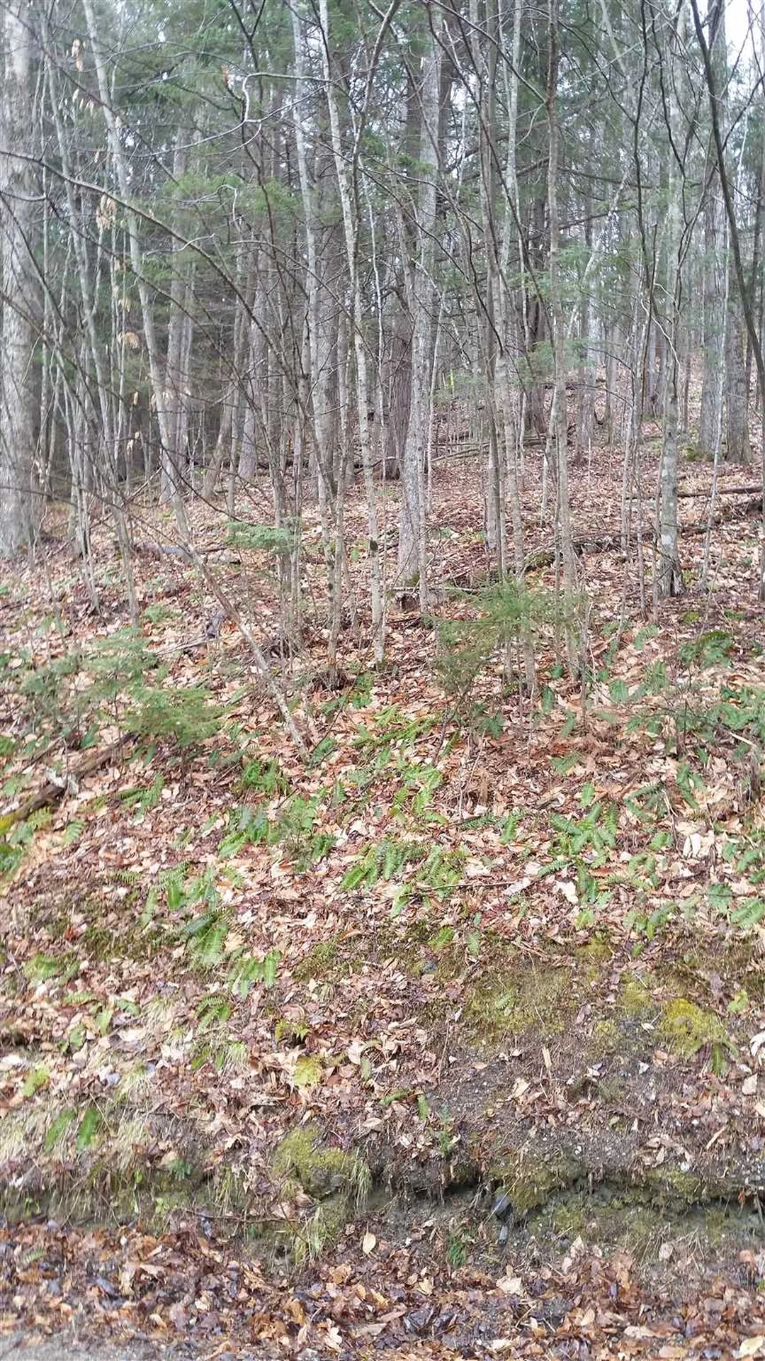 Lot J-6 & J-10 Westwind Road Stockbridge VT 05772