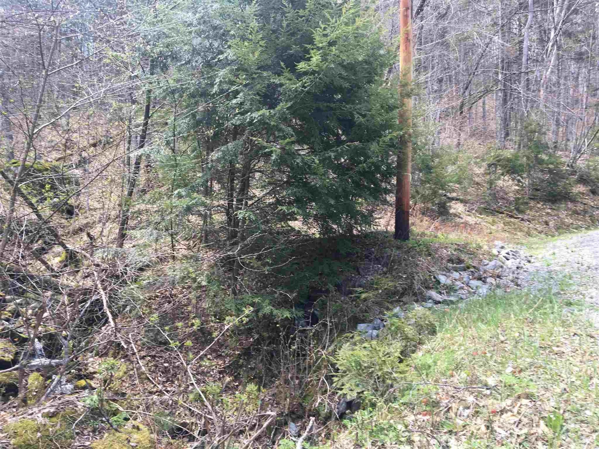 Lot J-6 & J-10 Westwind Road Stockbridge VT 05772