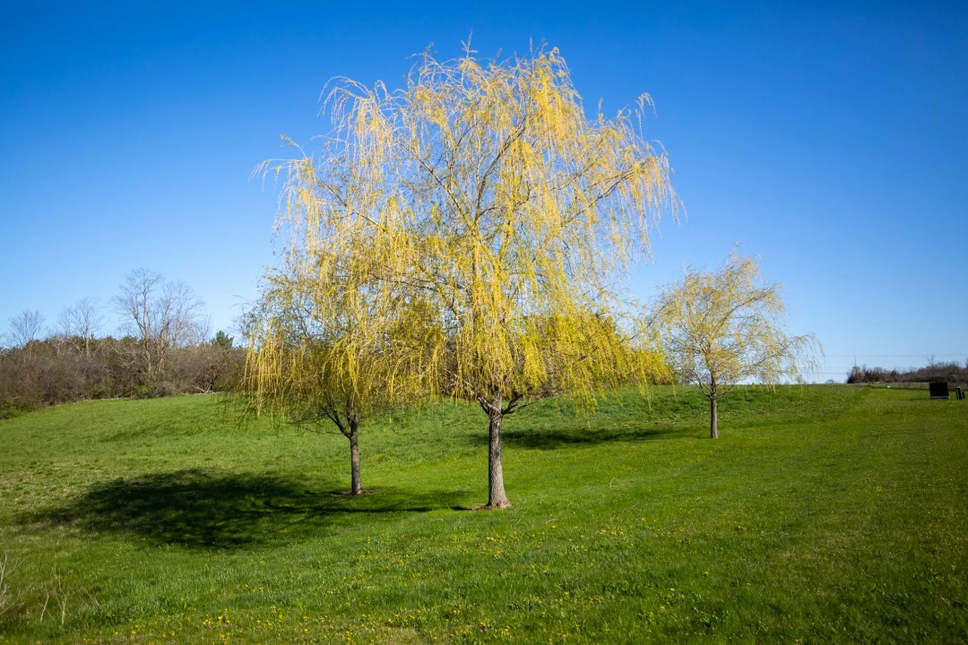 162 Autumn Hill Lane Shelburne VT 05482