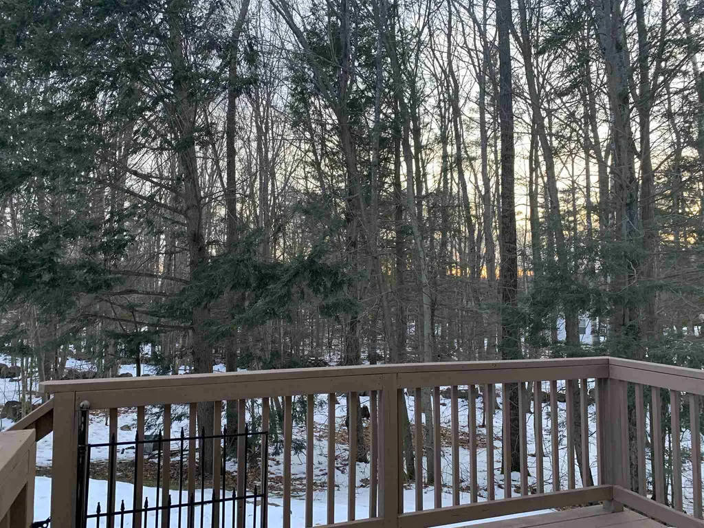 38 Stonington Drive Belmont NH 03220