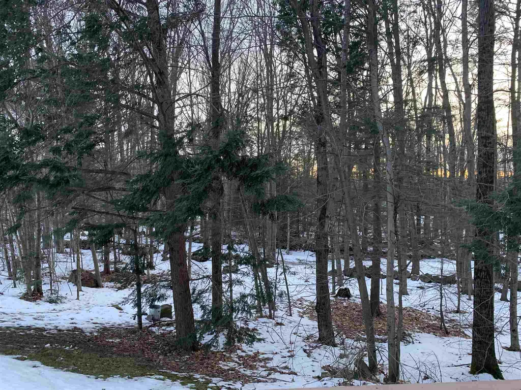 38 Stonington Drive Belmont NH 03220