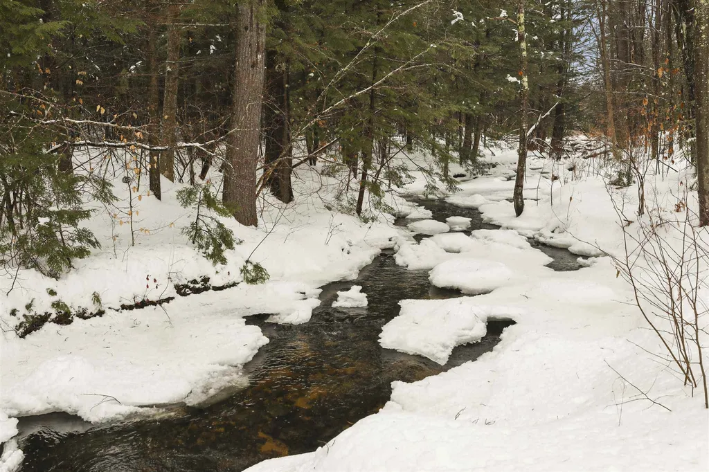 100 Old Granite Road Ossipee NH 03864-7360