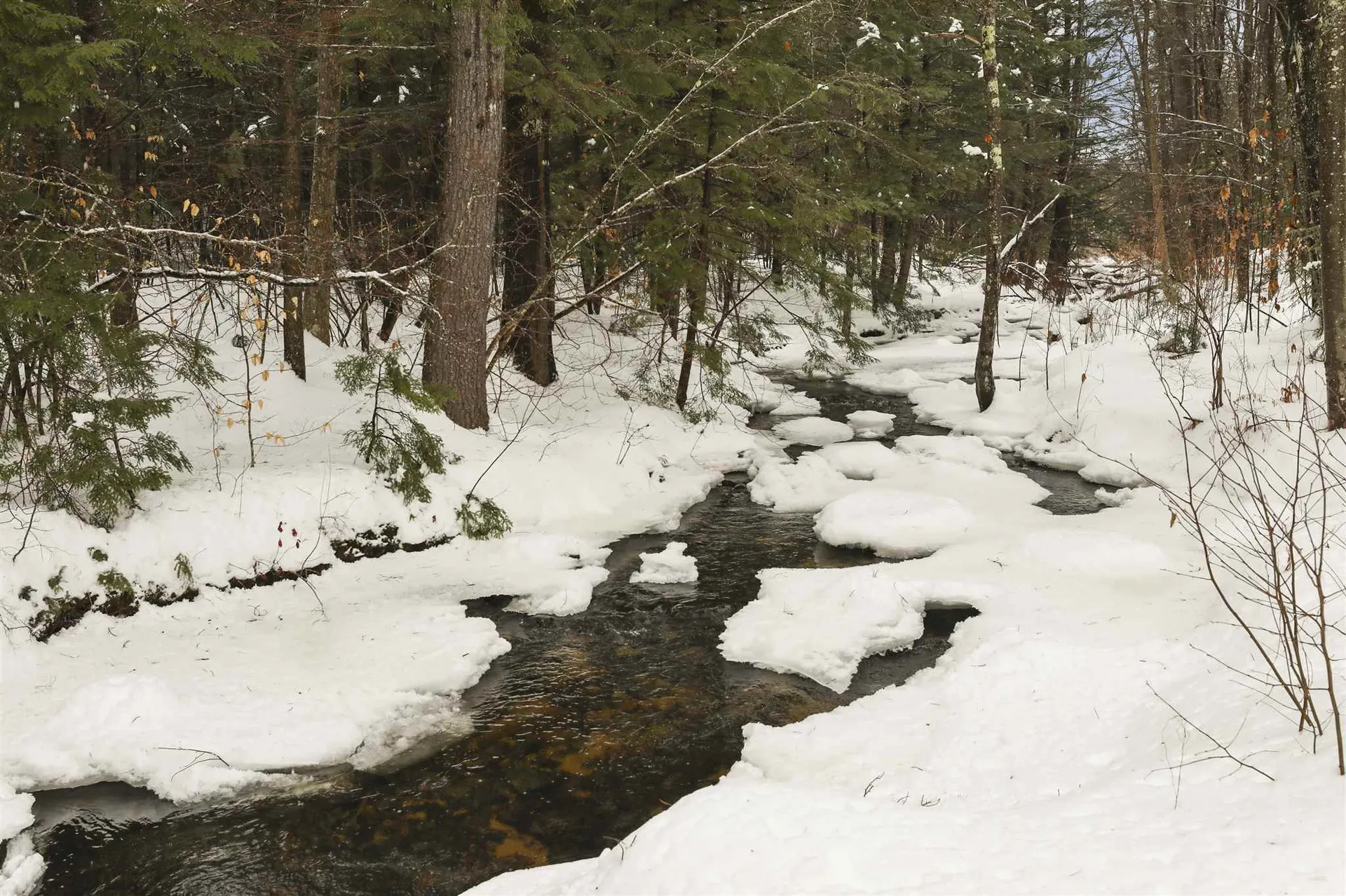100 Old Granite Road Ossipee NH 03864-7360