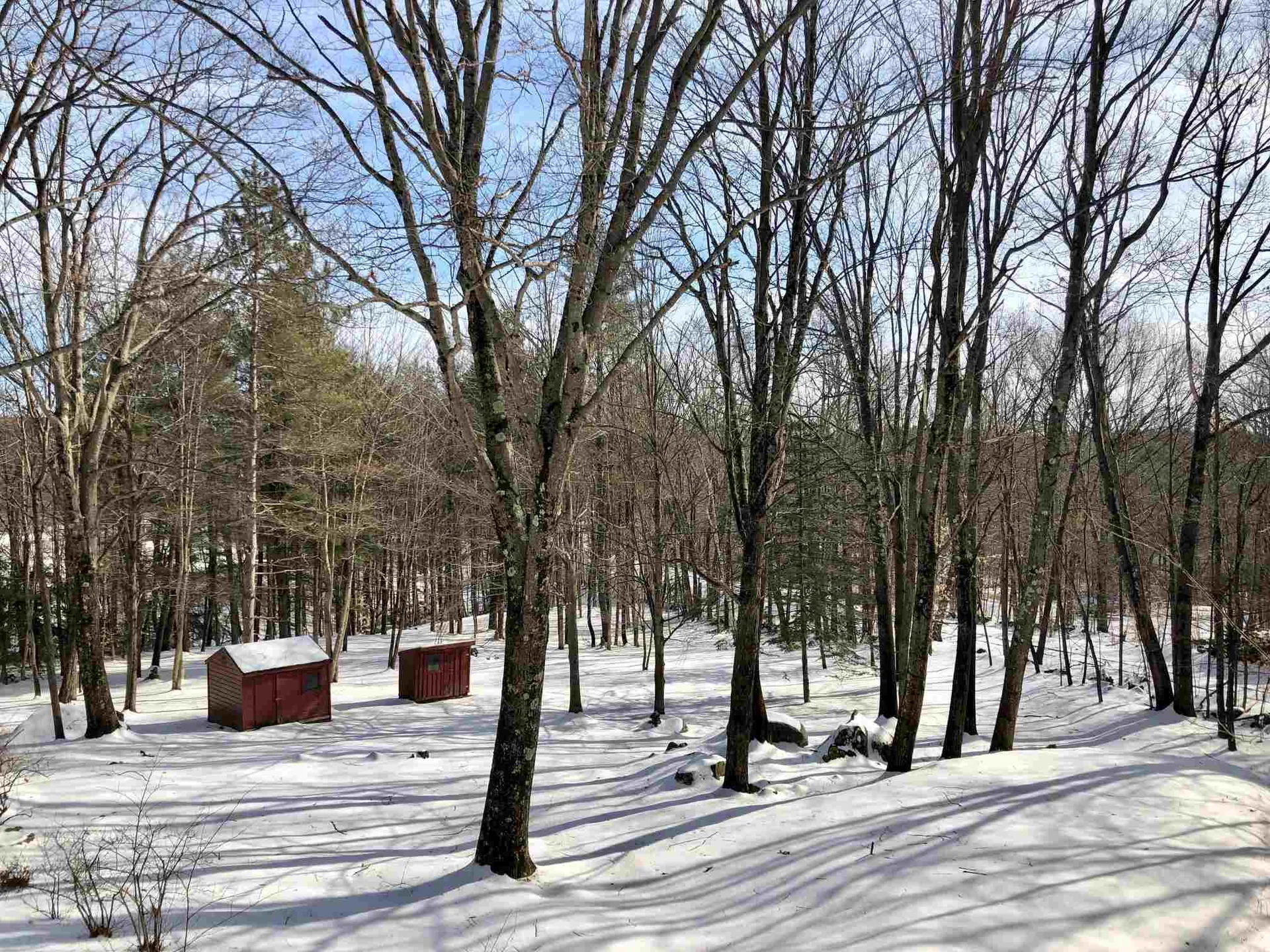 277 Forest Road Lyndeborough NH 03082